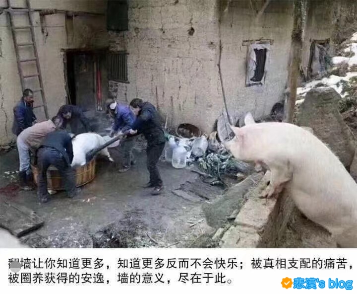 墙的意义.jpg 墙的意义.jpg